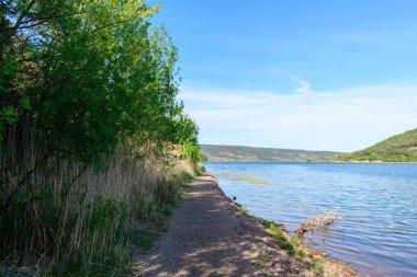 Bir tarafında uzun otlar ve yapraklı yeşil ağaçlar, diğer tarafında sakin mavi sular bulunan Salagou Gölü 'nün yanında sessiz bir patika bulunur. Manzara güneşli ve sakin, uzak tepeler berrak bir gökyüzünün altında.