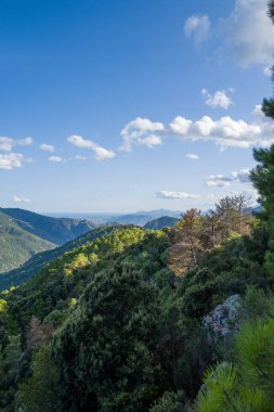 Geniş mavi gökyüzünün altında, Sardinya 'nın Baunei ve Dorgali yakınlarında dağınık bulutlarla birlikte, hareketli yeşil orman kayan dağ yamaçlarını kaplar. Güneş ışığı Akdeniz bitki örtüsünün ve engebeli arazinin çeşitli dokularını vurguluyor.