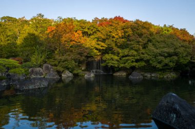 Japonya 'nın Himeji kentindeki Koko-en Bahçesi' nde, turuncu, sarı ve yeşil tonlarda canlı bir sonbahar havuzu bulunur. Büyük kayalar suyu çevreledi ve sahne sıcak, öğleden sonra ışıklarıyla yıkandı..