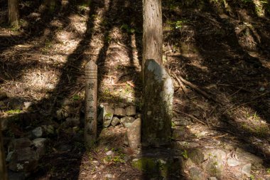 Japonca yazıtları olan yıpranmış bir taş sütun Japonya 'nın Wakayama kentindeki Kumano Kodo hac yolu boyunca güneşli bir sedir ormanında yosunlu bir kayanın yanında duruyor..