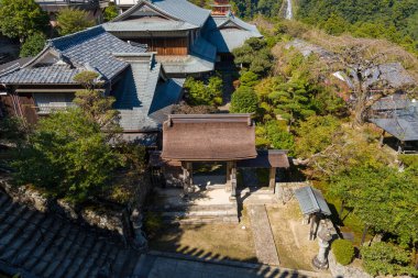 Japonya, Nachisan 'da manikürlü yeşilliklerle çevrili ahşap bir gövde kapısı ve geleneksel fayanslı çatıların hava manzarası. Güneş ışığı kıtır kıtır gölgeler oluşturur, dokuları renklendirir ve bahçe detaylarını aydınlatır.