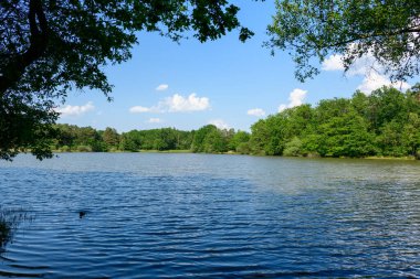 Açık mavi su, yoğun yeşil ormanlık ile çevrili gölet boyunca uzanır ve Dampierre en Burly yakınlarındaki Etang du Gue lEveque 'de parlak bir gökyüzü altında yapraklı dallar ile çerçevelenir. Hafif dalgalar ve dağınık bulutlar huzurlu bir yaz ortamı yaratır..