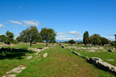 Scattered stone remains and mature trees line a grassy archaeological pathway at Paestum, Italy. The open landscape is illuminated by crisp sunlight beneath a vivid blue Mediterranean sky, evoking a sense of timeless heritage and tranquility.
