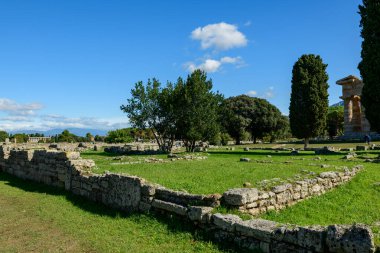 Dağılmış antik taş duvarlar ve olgun ağaçlar İtalya 'daki Paestum arkeolojik sahasının açık çimenlik alanlarını dolduruyor. Manzara parlak güneş ışığıyla aydınlanıyor. Canlı mavi bir Akdeniz gökyüzü altında, zamansız bir miras hissi uyandırıyor..