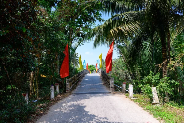 Canlı kırmızı, sarı ve mavi bayraklarla süslenmiş beton bir köprü, Güney Vietnam 'daki Mekong Deltası' nda yoğun tropikal yaprakların arasından geçer. Güneş ışığı palmiye yapraklarının arasından süzülür, kıtır kıtır gölgeler bırakır ve yemyeşil çimenleri aydınlatır.