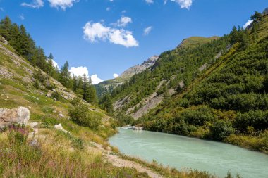Yumuşak mavi-yeşil nehir yavaşça sarp bir tepenin tabanında akar, açık bir yaz gökyüzünün altında orman dağları, vahşi otlar ve kayalık yamaçlar kıyıları kaplar..