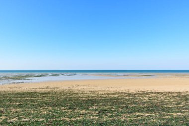 Bernieres-sur-Mer 'deki Juno Sahili' nde, berrak mavi gökyüzü ve sakin ufuk altında dağınık deniz yosunu ve sığ gelgit havuzları ile geniş kumlu kıyı şeridi..