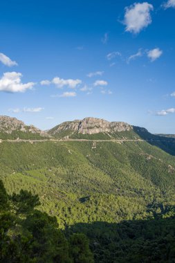 Sweeping view of dense green forest covering rolling hills beneath a rugged rocky ridge under a bright blue sky with scattered clouds near Baunei and Dorgali, Sardinia. Sunlight enhances the rich textures and natural contours of the Mediterranean