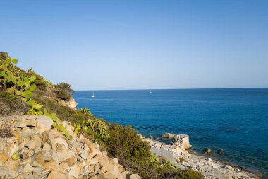 Yeşil dikenli armut kaktüsü ve engebeli kayalar, Porto Giunco yakınlarında ufukta yelkenli tekneleri olan derin mavi sulara bakan güneşli bir Akdeniz kıyı şeridi çiziyor..