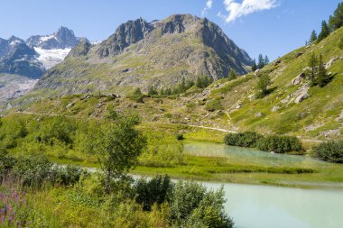 Soluk mavi bir Alp nehri, bereketli yeşil bitki örtüsü ve kır çiçeklerinin arasından süzülür engebeli dağ yamaçlarına ve berrak bir yaz gökyüzünün altındaki buzullara karşı..
