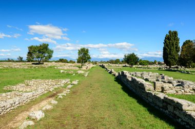 A wide grassy path runs between weathered stone walls at the archaeological site of Paestum, Italy. The open landscape is dotted with scattered trees and bathed in bright sunlight under a vivid blue Mediterranean sky.