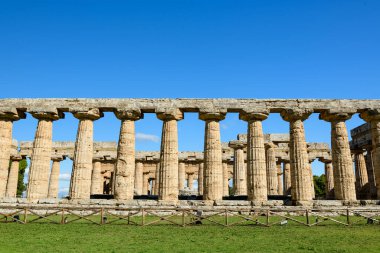 İtalya 'nın Paestum kentindeki antik Bazilika' nın katı Doric sütunları canlı mavi gökyüzüne karşı çarpıcı bir çizgisel desen oluşturuyor. Yıpranmış taş yapısı, klasik simetri ve Akdeniz mirasını ön plana çıkaran açık çimenli zeminlerin üzerinde yükseliyor..