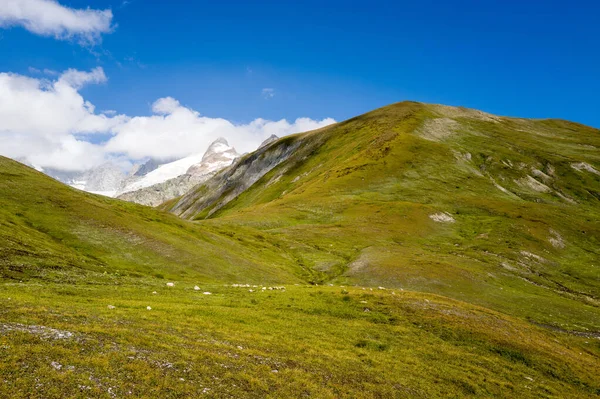 Bereketli yeşil tepeler, parlak mavi bir gökyüzünün altında, Val dAoste dağlarında kısmen kayan bulutlarla kaplı kar kaplı uzak bir zirve altında yuvarlanıyor..