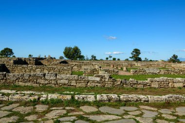 Alçak taş duvarlar ve antik yapıların kalıntıları İtalya 'nın Paestum kentindeki çimenli arkeolojik alanlar boyunca uzanıyor. Sahne, dağınık ağaçlar ve sakin bir zemin sağlayan canlı mavi Akdeniz gökyüzü ile berrak güneş ışığıyla aydınlanıyor..