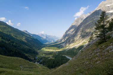 Val Ferret 'in dolambaçlı bir nehri, yoğun çam ormanları ve öğleden sonra güneşiyle aydınlanan engebeli dağ yamaçları olan berrak mavi gökyüzü..