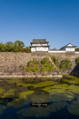 Geleneksel bir beyaz kale kulesi, Japonya 'nın Osaka kentindeki canlı mavi gökyüzünün altında yeşil yosunlarla kaplı bir hendeğe yansıyan antik taş duvarların üzerinde duruyor. Güneş ışığı, surlar boyunca dokulu taş ve yemyeşil zemini vurguluyor..
