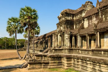 Angkor Vat 'taki tarihi onur terasında yıpranmış kumtaşı sütunlar ve uzun palmiye ağaçları ve açık mavi gökyüzünün altında kuru otlarla çevrili ayrıntılı oymalar yer alıyor. Antik Khmer mimarisi açık zeminde duruyor, simetriyi vurguluyor ve