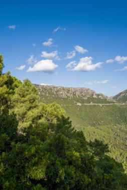 Yoğun yeşil çam ağaçları engebeli kayalık bir tepenin altında yuvarlanan tepeleri kaplıyor, dağınık beyaz bulutlar canlı mavi gökyüzünde sürükleniyor. Parlak güneş ışığı Akdeniz manzarasının dokularını ve yemyeşil yapraklarını vurgular.