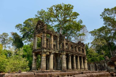 Kamboçya Angkor bölgesindeki Preah Khan Tapınağı 'nda sütunları olan iki katlı kumtaşı galerisi yoğun tropikal ağaçların arasında duruyor. Yıpranmış taş, yosunlu yüzeyler ve açık mavi gökyüzü tarihi ihtişam ve bereketli orman ortamını çağrıştırıyor..