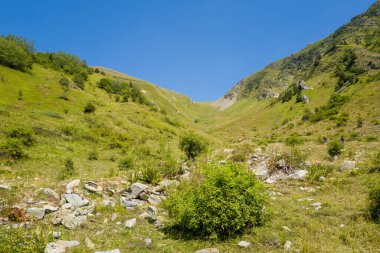 Kayalık çıkıntıları ve dağınık çalıları olan açık yeşil vadi bulutsuz mavi gökyüzünün altındaki Col du Tricot dağ geçidine doğru yavaşça yükseliyor..