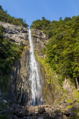 Japonya 'nın Wakayama kentindeki Nachi Şelalesi' nde yoğun yeşil ormanlarla çevrili ince bir şelale, yüksek bir kaya uçurumundan aşağı akar. Açık mavi gökyüzü ve güneş ışığı engebeli kaya dokularını ve gür yaprakları vurguluyor.
