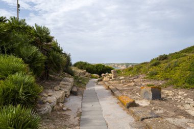 Sardinya 'nın Cabras yakınlarındaki Tharros sahasında bulunan gür Akdeniz çalıları ve arkeolojik kalıntılar arasında eski taş yürüyüş yolu rüzgarları esiyor. Yıpranmış dokular ve yumuşak gün ışığı tarih ve sükuneti çağrıştırıyor..