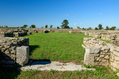 Düşük yıpranmış taş duvarlar İtalya 'nın Paestum kentindeki çimenli arkeolojik zeminde dikdörtgen bir kaplama oluşturuyor. Sahne parlak güneş ışığıyla aydınlanıyor. Canlı mavi bir Akdeniz gökyüzünün altında. Arka planda dağınık ağaçlar var..