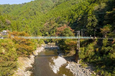 Dar bir asma köprü yoğun yeşillik ve sonbahar yapraklarıyla dolu gür, ormanlı bir vadide kayalık bir nehir boyunca uzanır. Güneş ışığı, ağaçların, suyun ve taşın dokusunu vurguluyor. Huzurlu ve doğal bir ortam yaratıyor..