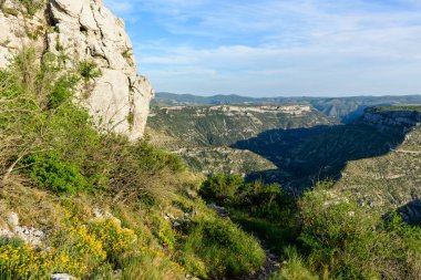 Sarı kır çiçekleri ve sık yeşil çalılar, Navacelles Sirki 'nin dramatik vadisine bakan engebeli kireçtaşı kayalıklarının yanında yetişir. Parlak güneş ışığı kayalık arazide ve uzak tepelerde derin gölgeler bırakır..