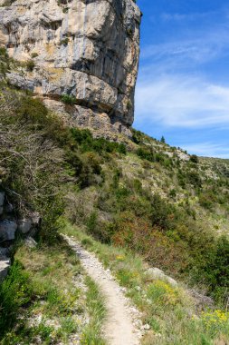 Navacelles Sirki 'ndeki devasa bir kireçtaşı uçurumunun dibinde dar bir toprak yol var. Güneş ışığı, canlı mavi gökyüzü altında vahşi otları, çalıları ve kayalık dokuları aydınlatır ve dramatik bir doğal manzara yaratır..