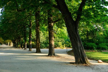 Uzun yapraklı ağaçlar Paris 'teki Jardin des Champs-Elysees' de geniş bir kumlu yolda gölgeler oluşturuyordu. Yeşillik ve yumuşak öğleden sonra güneşi sakin bir şehir vahası yaratır..