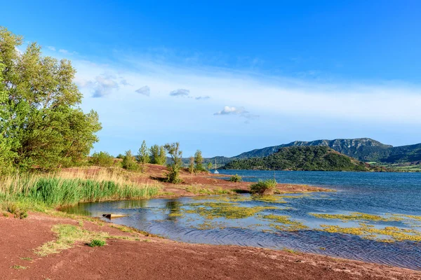 Lac de Salagou 'daki canlı göl manzarası. Uzun yeşil sazlıklar, çarpan kırmızı toprak ve durgun mavi su. Uzak tepeler ve dağınık bulutlar barışçıl, doğal atmosferi güçlendirir..