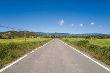 Ufukta yuvarlanan tepeler ve dağınık çiftlik binaları ile berrak mavi gökyüzü altında gür tarlalar ve kır çiçekleri arasında uzun ve boş bir yol uzanıyor. Parlak güneş ışığı canlı renkleri yükseltir ve sakin atmosferi açar..