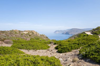 Yeşil Akdeniz çalılıklarıyla kaplı yuvarlanan tepeler, parlak bir gökyüzü altında, Sardunya 'nın Asinara Ulusal Parkı' nın kayalık kıyı şeridine ve açık mavi denizine doğru iniyor. Manzara güneşli ve geniş, uzak uçurumlar sakin sularla buluşuyor..