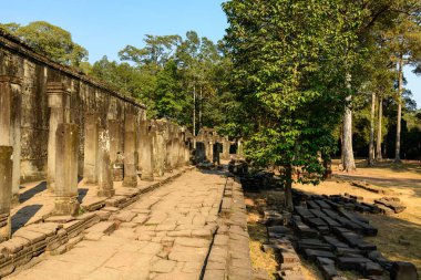 Angkor, Kamboçya 'daki Bayon Tapınağı' nda güneşli taş bir sütunla süslenmiş yıpranmış bir duvarın yanında uzanır. Tarihi Khmer kalıntıları, berrak mavi gökyüzünün altında dağınık taş ve yüksek orman ağaçlarıyla çevrilidir.