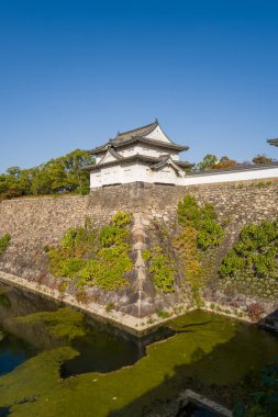 Osaka 'daki yeşil yosunlu hendeğe bakan yüksek taştan bir surun üzerinde beyaz bir Japon şatosu duruyor. Parlak güneş ışığı ve parlak mavi gökyüzü, tarihi mimariyi ve tırmanan bitkileri vurguluyor..