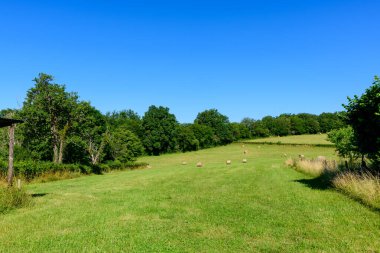 Yuvarlak saman balyaları Morvan kırsalında bulutsuz mavi bir gökyüzünün altında yoğun ağaçlarla çevrili canlı çimenli bir tarlayı işaret ediyor. Sahne parlak, açık ve huzurlu bir kırsal atmosferi çağrıştırıyor..