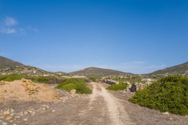Sardinya 'daki Asinara Ulusal Parkı' nın güneşli tepelerinde alçak taş duvarlar ve Akdeniz çalıları arasında uzanan kuru bir toprak yol. Açık arazi, berrak mavi gökyüzünün altında engebeli ve huzurludur..