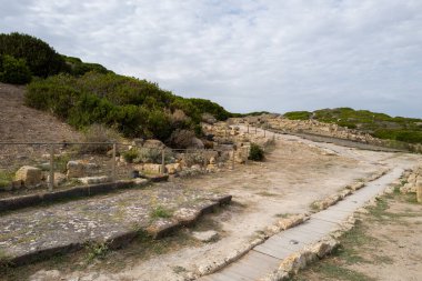 Yıpranmış taş levhalar ve dağınık kalıntılar Sardinya 'nın Cabras yakınlarındaki Tharros arkeolojik sahasında tarihi bir yol çiziyor. Düşük çalılıklar ve engebeli arazi bulutlu bir gökyüzünün altında doğal bir ortam yaratır..