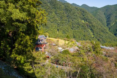 Kırmızı torii kapısı ve kümelenmiş çatıları olan geleneksel bir türbe yoğun orman ve Japonya 'nın Nachisan kentindeki yüksek yeşil dağlarla çevrili güneşli bir yamaçta bulunur. Parlak gün ışığı, canlı yaprakları ve huzurlu manzarayı güçlendirir..