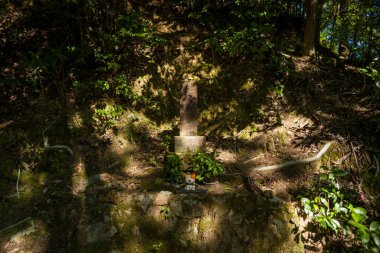 Japonya 'daki Kumano Kodo hac yolu boyunca yapraklı bitkiler ve benekli güneş ışığı ile çevrili toprak bir tepenin karşısında basit bir taş sunak duruyor..