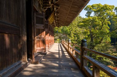 Açık kapıları olan güneşli ahşap bir teras Engyoji Maniden 'ın yanında uzanır ve Shosha Dağı, Himeji, Japonya' da canlı yeşil ağaçların manzarasını sunar. Ilık ışık ve derin gölgeler, doğal dokuları ve huzurlu atmosferi vurgular..