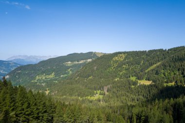 Bereketli, yemyeşil ormanlarla kaplı, güneşli bir dağ vadisinin geniş manzarası ve Fransız Alpleri 'ndeki canlı mavi gökyüzünün altında dağınık, berrak alanlar..