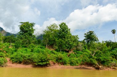 Yoğun yeşil bitki örtüsü kuzey Laos 'taki Muang Ngoi yakınlarındaki Nam Ou Nehri' nin çamurlu kıyısında bulunur. Bereketli ağaçlar ve çalılıklar, dağılmış bulutlarla dolu parlak gökyüzünün altındaki sisli dağlara doğru yükseliyor..