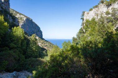 Yoğun Akdeniz bitkilerine sahip engebeli bir kireçtaşı vadisi, Sardunya 'nın Baunei kenti yakınlarında berrak bir gökyüzünün altında açık mavi bir denize doğru açılıyor. Güneş ışığı, kaya yüzlerinin ve gür yaprakların zıt dokularını vurgular.
