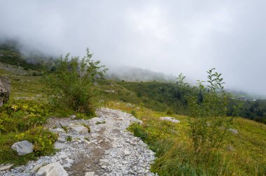 Uçsuz bucaksız, soluk, bulutlu gökyüzünün altındaki yeşil tepelerde yoğun sis yuvarlanırken, yabani çalılar ve taşlarla çevrili, çimenli alp arazisinde kayalık bir patika kıvrılır..