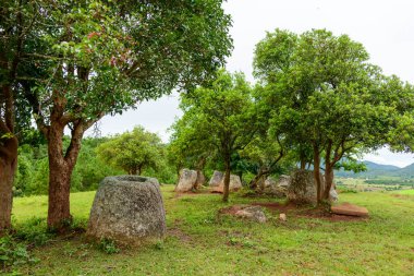 Laos 'taki Plaine des Jarres platosundaki yapraklı ağaçların altına büyük yıpranmış taş kavanozlar serpilmiştir. Sahnede tarihi megalitik eserler, doğal dokular ve yumuşak bulutlu bir gökyüzü altında sakin bir kırsal alan yer alıyor..