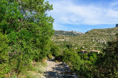 Yoğun yeşil çalılıkların arasından kayalık bir patika inerek Navacelles Sirki 'nin ve parlak bir gökyüzünün altındaki kireçtaşı tepelerinin geniş bir manzarasına açılıyor. Güneş ışığı, doğal dokuları ve Akdeniz bitki örtüsünü vurguluyor.