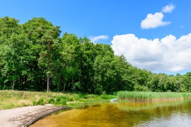 Altın kum, yemyeşil ormanlarla çevrili Settons Gölü 'nün kıyısında berrak ve sığ sularla buluşur. Dağınık mavi bulutların altında uzun kamışlarla..