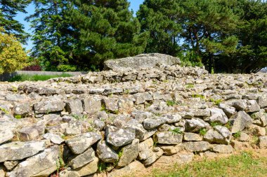 Locmariaquer 'deki yüksek yeşil ağaçların altındaki katmanlı teraslarda antik kuru taş kargaşası yükselir. Güneş ışığı, yıpranmış kayaları ve doğal dokuları vurguluyor. Tarihi bir gizemi çağrıştırıyor..